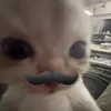maiiyennliinnh_25t12