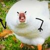 littleducky107
