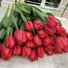 user72555162306750