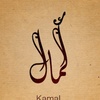 kamal.alnajjar6