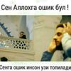 shinar_9404