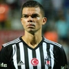 pepe.5.5com