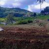 ragil.patimuan3