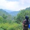 gpenting71