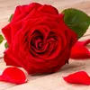 la.fleurr.rouge