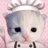 xyrill_28
