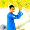 user4243329706311