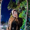 _fatimah037