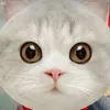 user1963262628666