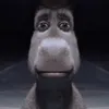 geoasf2