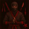 ninja_pro404