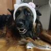 acemilanfan
