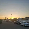 emz_liv1129