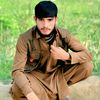 zaibjani_804