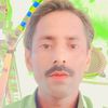 aligull33226