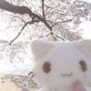 miyooturu