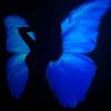 rogheyeh_21