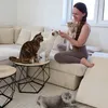 sheloveshercats2.0