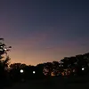 roo_manchento