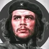 ms_frk_