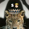 queen.sundus.siman