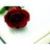 tasnem89802