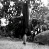 solitaria__507