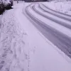 fred34341