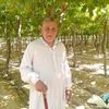 karim.elshaikh7