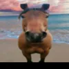 leoslostheplotmush
