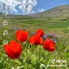 user71067725128797