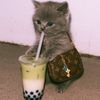 sad_catt0