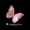logain.mohamed2