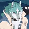 arcticwolfythefurryowo