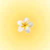 sun.shine_2.5
