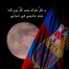 honor4191