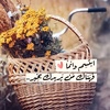 habiba.wael_3