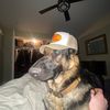 jaxson32138