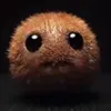 robinfv_