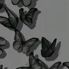 sary.karim7