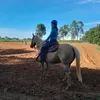 gabigabis09