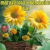 ramona.marte27