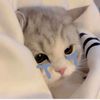 neebvwj43