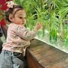 nour.h.salama