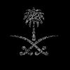 abdulaziz_1209