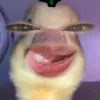 daisymarieabay