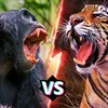Animal.world.770