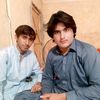 harisgull65