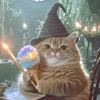 wizardcatjuju