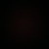 luis.felipe.gastelum